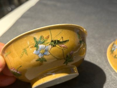 A pair of Chinese café-au-lait-ground famille rose 'grasshopper' bowls, Daoguang mark and of the period — 照片 17