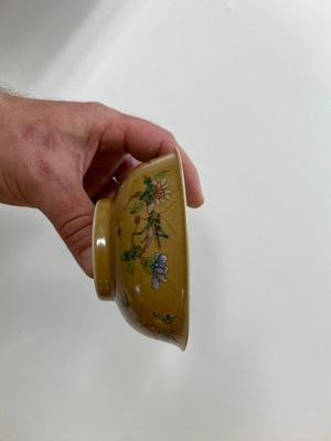 A pair of Chinese café-au-lait-ground famille rose 'grasshopper' bowls, Daoguang mark and of the period — 照片 9