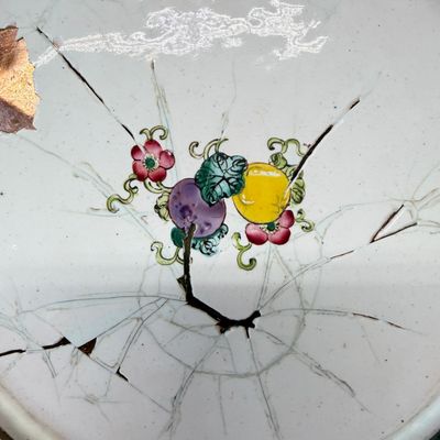 A pair of Chinese Canton enamel plates with floral design — photo 7