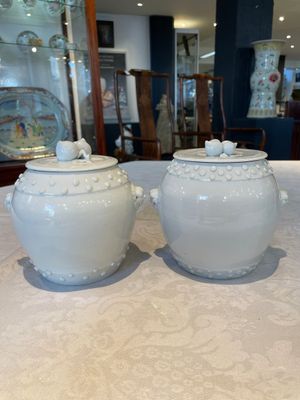 A pair of Chinese Canton famille rose vases and a pair of Dehua blanc de Chine drum-shaped covered jars, 19th C. — foto 12