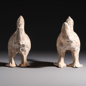 A pair of Chinese cold painted terracotta roosters, Han or later — foto 4