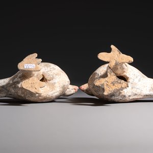A pair of Chinese cold painted terracotta roosters, Han or later — foto 6