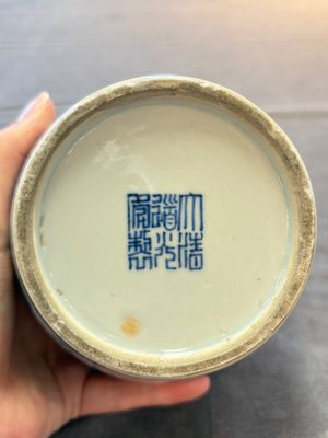 A pair of Chinese doucai 'chrysanthemum' jars and covers, Daoguang mark and of the period — photo 17