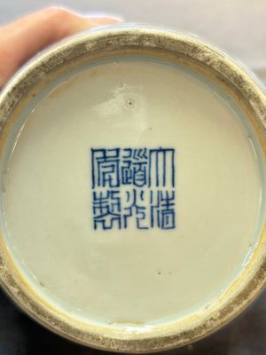 A pair of Chinese doucai 'chrysanthemum' jars and covers, Daoguang mark and of the period — photo 8