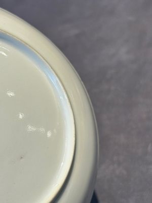 A pair of Chinese famille rose armorial saucers with the arms of Arendsma van Idsinga for the Dutch market — photo 22