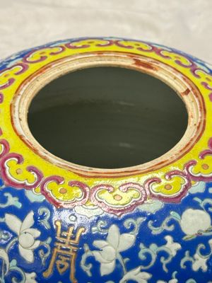 A pair of Chinese famille rose 'Birds among Flowering Branches' jars and covers — photo 22