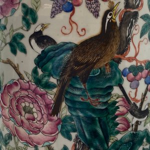 A pair of Chinese famille rose vases with birds among blossoms, 19th C. — 照片 18