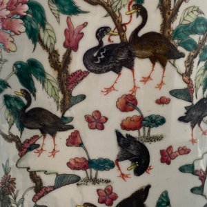A pair of Chinese famille rose vases with birds among blossoms, 19th C. — 照片 32