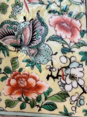 A pair of Chinese famille verte Buddhist lions, 19th C. — foto 17