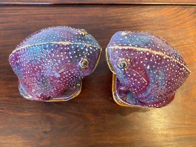 A pair of Chinese flambé-glazed toads, 19th C. — 照片 5