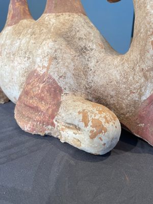 A pair of Chinese polychrome-painted terracotta camels with saddles, Tang — 照片 50
