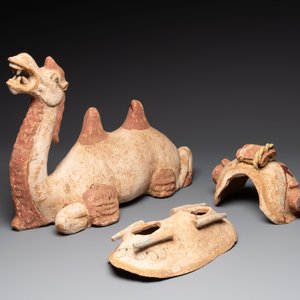 A pair of Chinese polychrome-painted terracotta camels with saddles, Tang — 照片 4