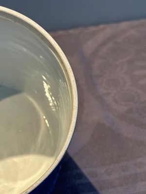 A pair of Chinese powder blue-ground famille verte vessels with a bird in a garden, Kangxi — photo 27