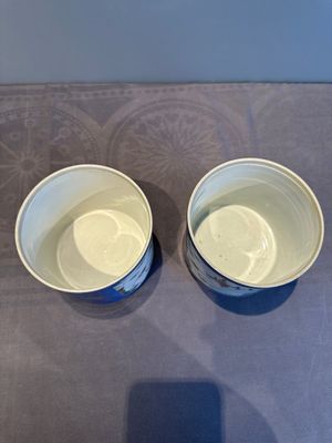 A pair of Chinese powder blue-ground famille verte vessels with a bird in a garden, Kangxi — photo 5