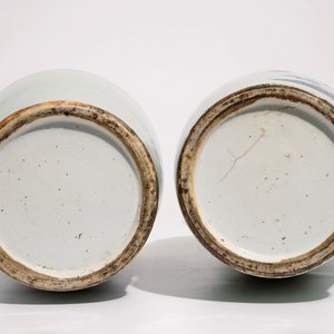 A pair of Chinese vases in blue and white on celadon ground with cranes, 19th C. — photo 5