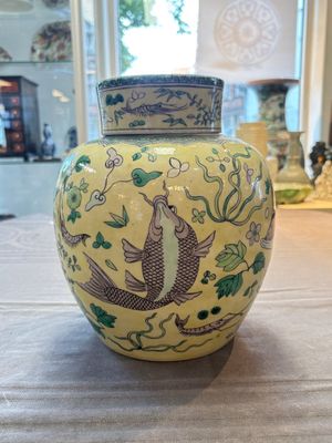 A pair of Chinese verte biscuit 'fish' jars and covers, 19th C. — photo 14