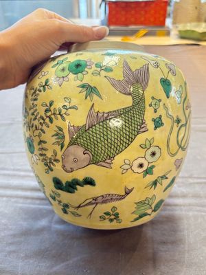 A pair of Chinese verte biscuit 'fish' jars and covers, 19th C. — photo 17