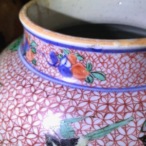 A pair of Chinese wucai jars with birds and flowers, Transitional period — 照片 13