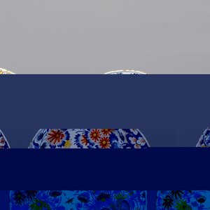 A pair of Dutch Delft polychrome chinoiserie plates with a bird on a fence, ca. 1700 — 照片 1