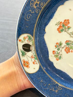 A pair of fine Chinese famille verte powder-blue-ground 'bird on branch' plates, Kangxi — photo 14