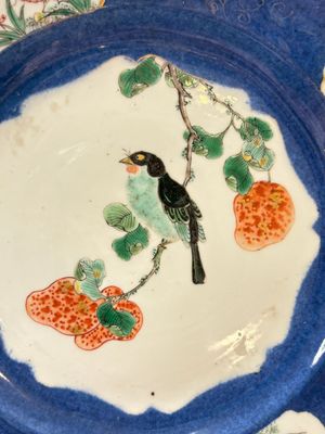 A pair of fine Chinese famille verte powder-blue-ground 'bird on branch' plates, Kangxi — photo 2