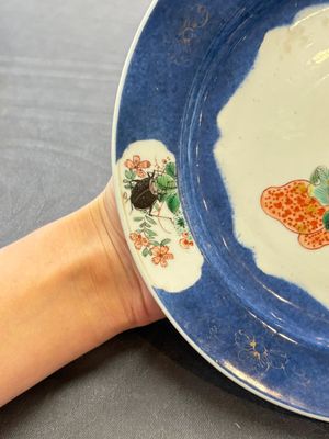 A pair of fine Chinese famille verte powder-blue-ground 'bird on branch' plates, Kangxi — photo 5