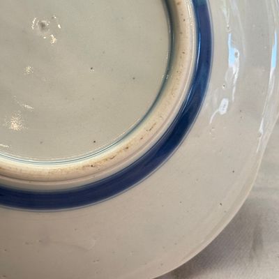 A pair of Japanese polychrome 'Tiger' dishes — photo 15