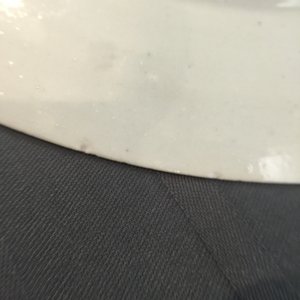 A pair of large Chinese famille rose cherrypickers plates, Qianlong — photo 4