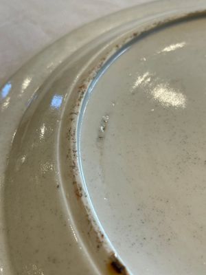 A pair of unusual and fine Chinese Canton famille rose dishes, 19th C. — 照片 15