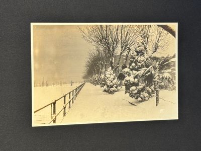A photo album of the funeral of Sun Yat-sen 孫中山, dated May 26 - June 1, 1929 — photo 71