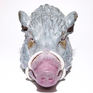A porcelain boar's head tureen, Germany, 20th C. — 照片 2