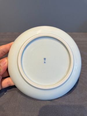 A rare Chinese blue and white 'Bleu de Hue' plate for the Vietnamese market, Bích Ngọc 碧玉 seal mark, 19th C. — photo 9