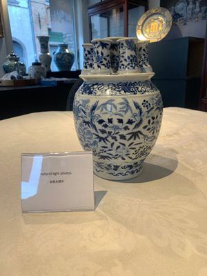 A rare Chinese blue and white crocus-shaped vase with birds among flowers, Kangxi mark, 19th C. — photo 1