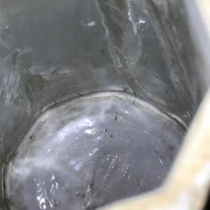 康熙  青花瓷咖啡壶    — 照片 34