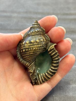 A rare Chinese brown- and turquoise-glazed conch-form brush washer, Qianlong — 照片 1