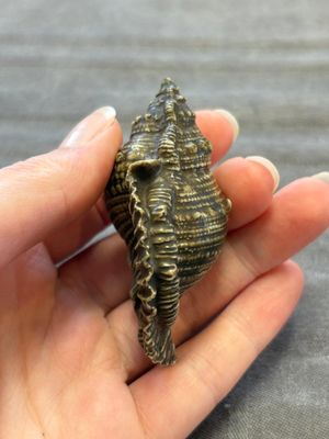 A rare Chinese brown- and turquoise-glazed conch-form brush washer, Qianlong — 照片 2