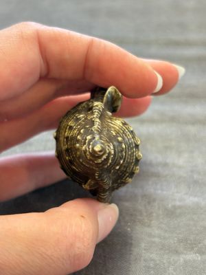 A rare Chinese brown- and turquoise-glazed conch-form brush washer, Qianlong — 照片 5