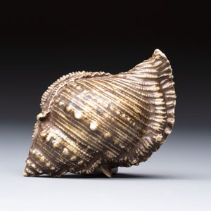 A rare Chinese brown- and turquoise-glazed conch-form brush washer, Qianlong — 照片 6