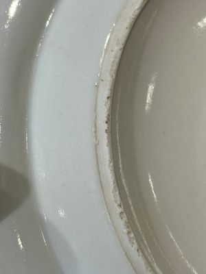 A rare Chinese Canton famille rose armorial dish with the arms of Wight, ca. 1810 — 照片 9