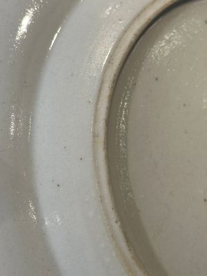 A rare Chinese Canton famille rose armorial dish with the arms of Wight, ca. 1810 — 照片 9