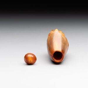 A rare Chinese rhinoceros horn snuff bottle in the shape of a Buddha hand, 19th C. — foto 3