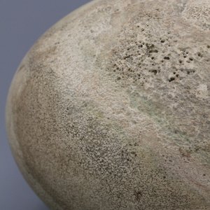 A rare intact egg of an elephant bird, Aepyornis Maximus, Madagascar, pre-17th C. — photo 5