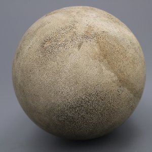 A rare intact egg of an elephant bird, Aepyornis Maximus, Madagascar, pre-17th C. — photo 6