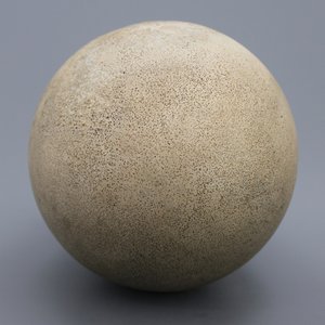 A rare intact egg of an elephant bird, Aepyornis Maximus, Madagascar, pre-17th C. — photo 7