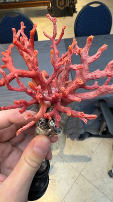 A red coral mounted silver figure, possibly Germany, 19th C. — 照片 13