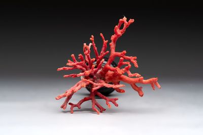 A red coral mounted silver figure, possibly Germany, 19th C. — 照片 6