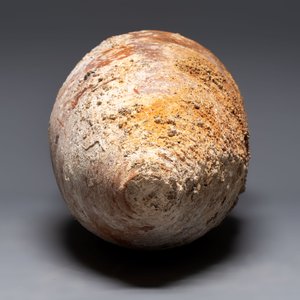 A Roman oil or wine amphora, 1st C. B.C. — 照片 6