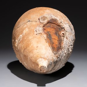 A Roman pottery olive oil transport amphora with marine encrustation, South of Spain, 1st/3rd C. — 照片 6