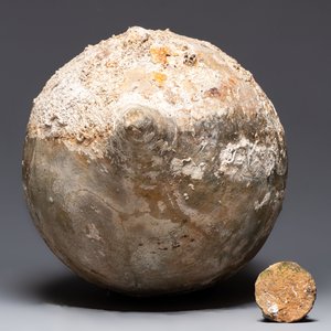 A Roman salt fish amphora and cover, Spain, 2nd/3rd C. — photo 6