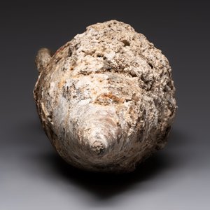 A Roman terracotta amphora for wine or oil transport, 1st C. B.C. — photo 6